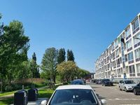 Afbeelding 3