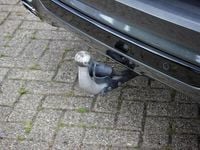 Afbeelding 3