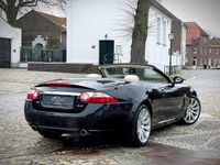 tweedehands Jaguar XK XK 4.2 V8 Convertible / LAGE KM-STAND /SPECIALIST