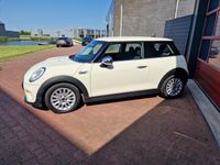 tweedehands Mini Cooper 1.5 Salt 12MND BOVAG GAR. CAMERA | AIRCO | PDC | NAVI | CRUISE C. | AUTOMAAT