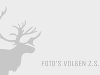 tweedehands Volvo V40 T3 Momentum | Rijklaarprijs