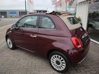 tweedehands Fiat 500C 1.0 HYBRID DOLCEVITA ABSOLUTE NIEUWSTAAT|UNIEKE KI