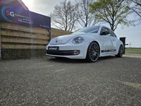 tweedehands VW Beetle BEETLE (NEW) 2.0 TSI Sport, DSG, 270PK, UNIEK DIKKE