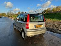 tweedehands Fiat Panda 1.1 Young