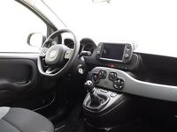Occasion Fiat Panda City Life 69 PK (50 kW) 2022 Grijs Hatchback
