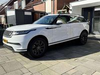 Occasion Land Rover Range Rover Velar 408 PK (300 kW) 2022 Wit SUV