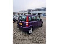 tweedehands Fiat Panda 1.2 Edizione Cool NETTE STAAT/NAP/APK/LAGEKM