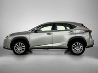 Occasion Lexus NX300h Business Edition 197 PK (144 kW) 2017 Grijs SUV
