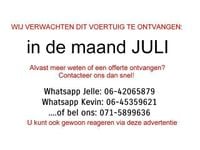 Afbeelding 2