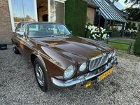 Occasion Jaguar XJ 172 PK (126 kW) 1979 Bruin Sedan