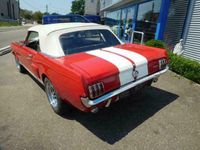 tweedehands Ford Mustang gt350 tribute