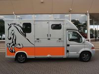 tweedehands Renault Master T35 2.5 DCI ANEMONE MTM PAARDENWAGEN HORSE TRUCK