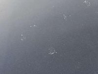 Occasion Chevrolet Captiva LS 136 PK (100 kW) 2009 SUV