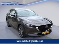 Afbeelding 1