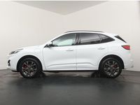 Occasion Ford Kuga ST-Line 2026 Wit SUV