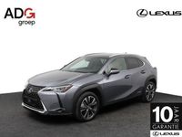 Occasion Lexus UX 250h Business Edition 184 PK (135 kW) 2019 Grijs SUV