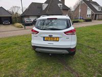 Afbeelding 3