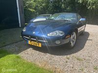 Occasion Jaguar XK8 283 PK (208 kW) 2001 Blauw Coupé