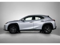 Occasion Lexus UX 184 PK (135 kW) 2024 Grijs SUV