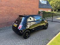 Afbeelding 2
