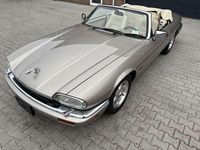Occasion Jaguar XJS 238 PK (175 kW) 1995 Goud Cabriolet