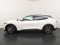 Occasion Ford Mustang 294 PK (216 kW) 2023 Wit SUV