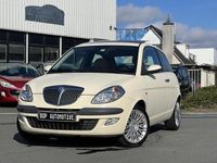 tweedehands Lancia Ypsilon 1.4-16V Platino PANORAMADAK/LEER/CRUISE/AIRCO/TREKHAAK