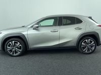 Occasion Lexus UX 250h 184 PK (135 kW) 2022 Grijs SUV