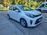 Occasion Kia Picanto 2019 Wit Hatchback