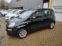 tweedehands Fiat Panda 1.2 Lounge 4-Cilinder