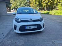 Occasion Kia Picanto 2019 Wit Hatchback