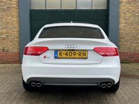 tweedehands Audi S5 Sportback 3.0 TFSI S5 quattro Pro Line | Gerevisee