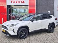 Occasion Toyota RAV4 Hybrid 2019 Wit SUV
