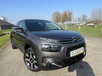 tweedehands Citroën C4 Cactus 1.2 PureTech Shine CAMERA | CRUISE | CLIMA | CARP