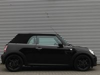 tweedehands Mini Cooper Cabriolet 