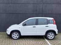 tweedehands Fiat Panda 1.0 Hybrid | NIEUW | Apple Carplay/Android Auto | Climate Control | Privacy Glass | Blu Italia