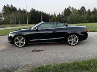 Occasion Audi A5 Cabriolet 179 PK (131 kW) 2011 Cabriolet