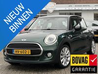 Occasion Mini Cooper Business 136 PK (100 kW) 2016 Groen Hatchback