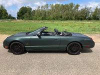 tweedehands Ford Thunderbird 50th Anniversary Convertible Aut 4.0 V8