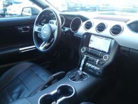 tweedehands Ford Mustang GT 5.0 V8 / Dealer onderhouden
