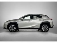 Occasion Lexus UX Business Edition 184 PK (135 kW) 2023 Grijs SUV