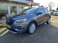 tweedehands Opel Grandland X 1.2 Turbo Business Executive Auitrijcamera, Electr A klep, Climate Control, Dode hoek herkenning, Navigatie PRIJS RIJKLAAR