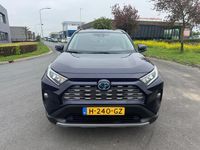 Afbeelding 3