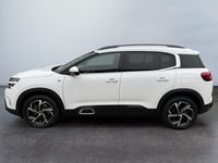 Occasion Citroën C5 Aircross Feel 2020 Wit SUV