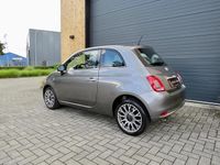 Afbeelding 3