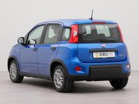 Occasion Fiat Panda Urban 69 PK (50 kW) 2024 Blauw Hatchback