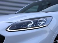 tweedehands Ford Kuga 2.5 PHEV ST-Line X | Camera | Navigatie | Stoel, Stuur en Voorruitverwarming | Adaptieve Cruise Control | BLIS | B&O | Apple Carplay & Android auto | 19"Lichtmetaal