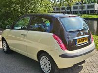 tweedehands Lancia Ypsilon 1.2 Argento airco cv op afs elektrische ramen