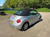 tweedehands VW Beetle NewCabriolet 1.6 Turijn Comfort. Eerste eigenaar !!!