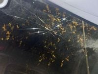 Occasion Toyota Starlet 75 PK (55 kW) 1997 Hatchback